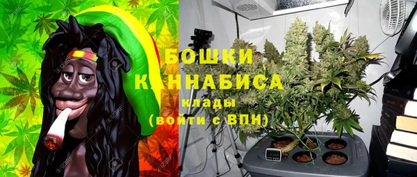 индика Краснослободск