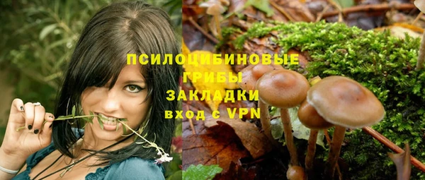 спиды Кукмор